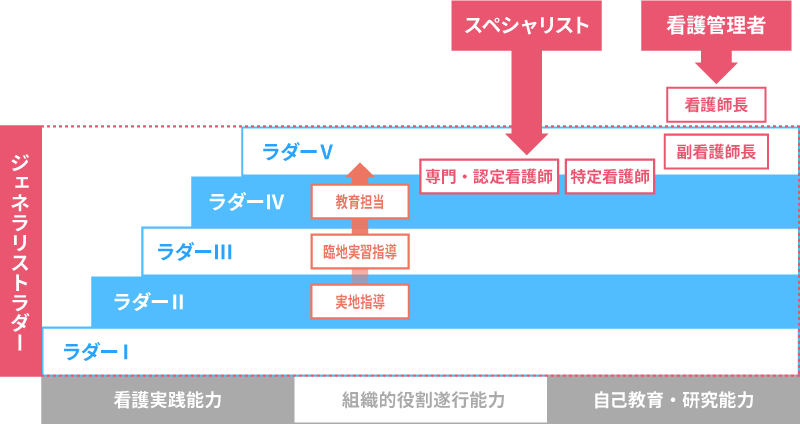 ラダーとキャリア開発