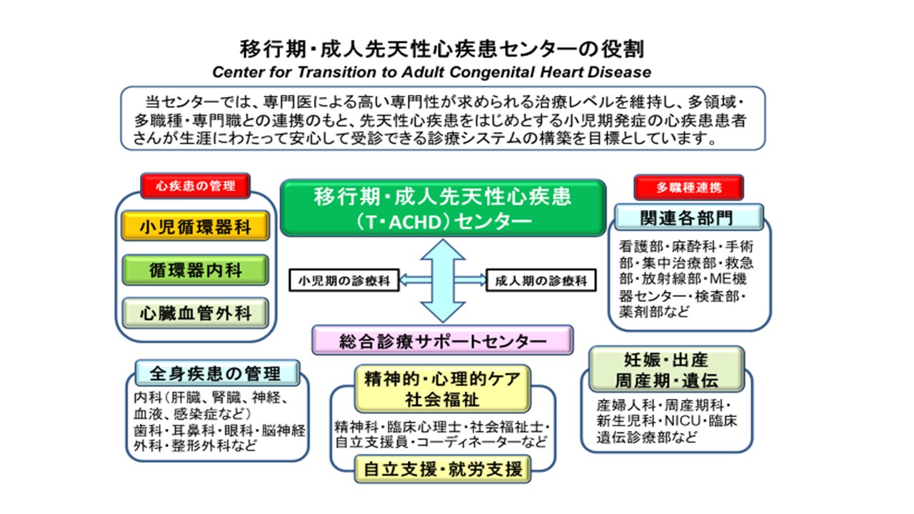 移行期