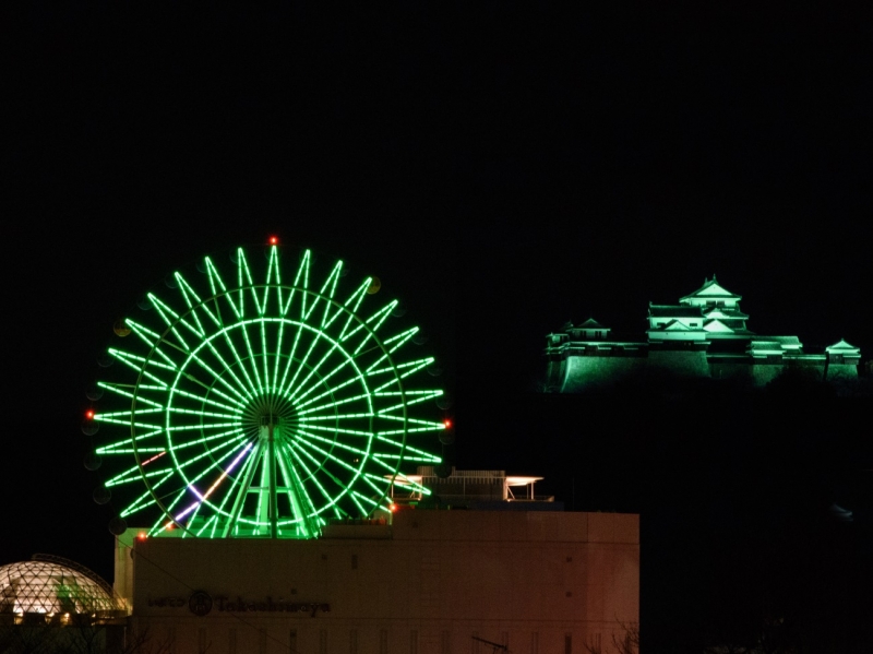 昨年，ライトアップされた松山城とくるりん