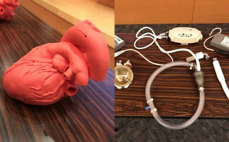 展示された心臓の模型や人工心臓